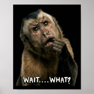 Lustiges Affen-Slang-Zitat wart was Meme süß Poster