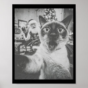 Lustiges Ai Siamese Katze Selfie mit Weihnachtsman Poster