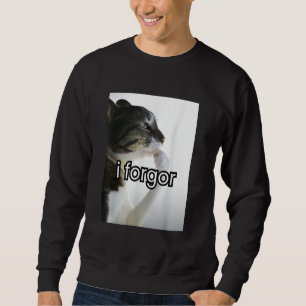 lustiges albernes Katzen-Meme ich vergaß cringe br Sweatshirt