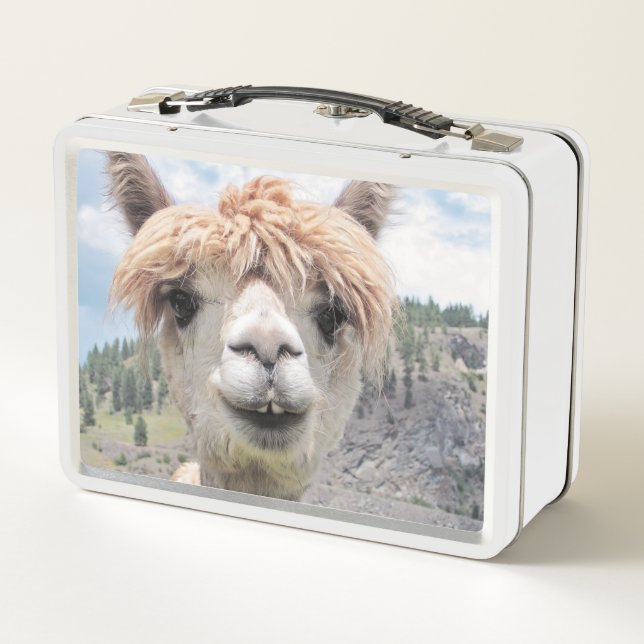 Lustiges Alpaka Lama tun nicht Touch die ich Metall Brotdose Zazzle.at