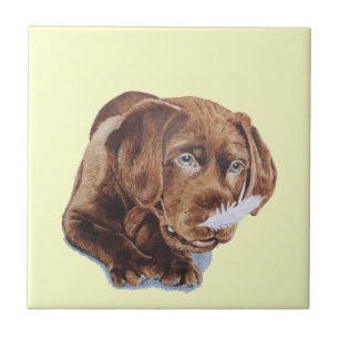 lustiges Bild schokoladenbraunen Labrador-Welpen Fliese