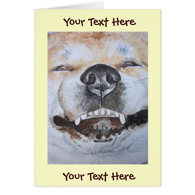 lustiges Bild von akita lächelnd niedlicher Hund (Vorne)