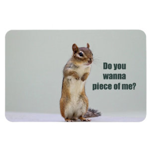 Lustiges Chipmunk-Bild Magnet