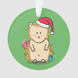 Lustiges Durcheinander Frohe Weihnachten Igel Kind Ornament