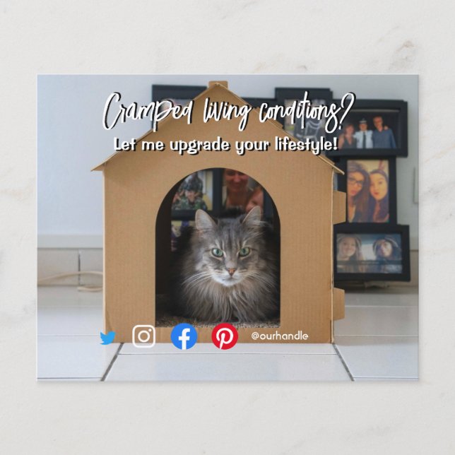 lustiges echtes Anwesen, das die Wohnkatze im Haus Flyer (Vorne)