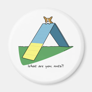 Lustiges Ein-Rahmen Corgi-Agility Magnet