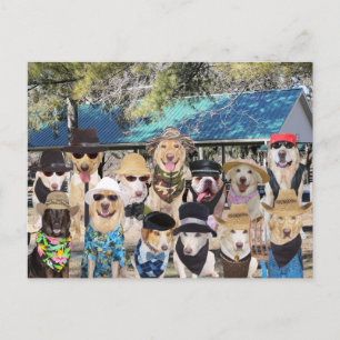 Lustiges Familien-Wiedersehen Einladungspostkarte