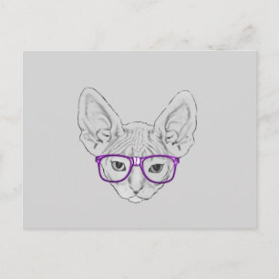 Lustiges Geeky Nerdy Sphynx mit aufgenommenen Postkarte