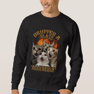 Lustiges GenZ-Katzen-Meme Katze ließ Glas fallen a Sweatshirt