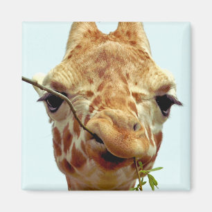 lustiges Giraffenbaby Magnet