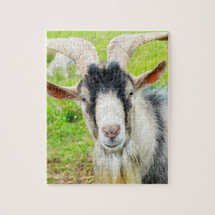 Lustiges GOAT 2027 Neujahrsfoto Puzzle