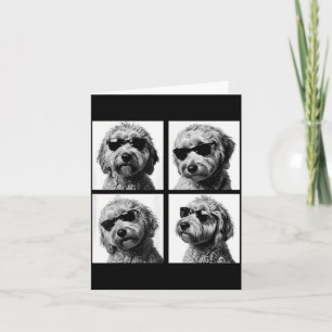 Lustiges Goldendoodle Meme Hübsches Doodle Fotoaut Karte