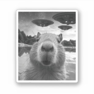 Lustiges Grafik Capybara Selfie mit UFOs Seltsam Aufkleber