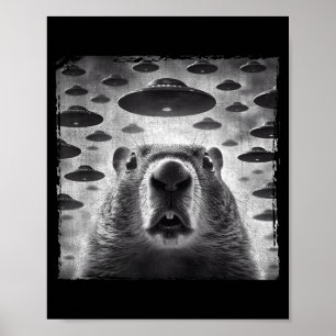 Lustiges Groundhog-Selfie mit Alien-Ufos Groundhog Poster