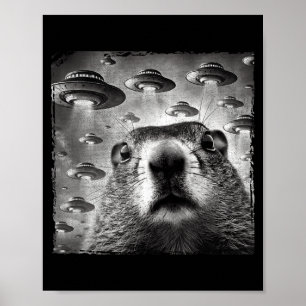 Lustiges Groundhog-Selfie mit Alien-Ufos Groundhog Poster