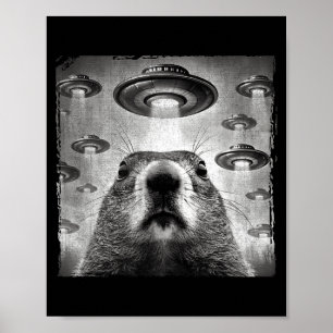 Lustiges Groundhog-Selfie mit Alien-Ufos Groundhog Poster