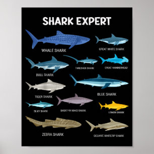 Lustiges Hai-T-Shirt für Männer, Ozeanfisch, Kinde Poster