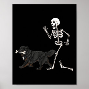 Lustiges Halloween Neufundländer und Skelett Poster