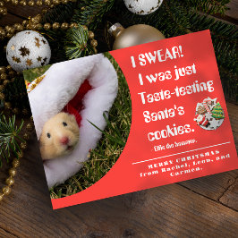Lustiges Haustier Hamster Foto Weihnachtskarte Feiertagskarte