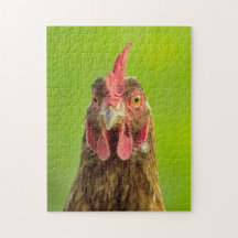 Lustiges Huhn - Foto-Puzzlespiel