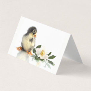 lustiges Huhn ・ geklappte Visitenkarten