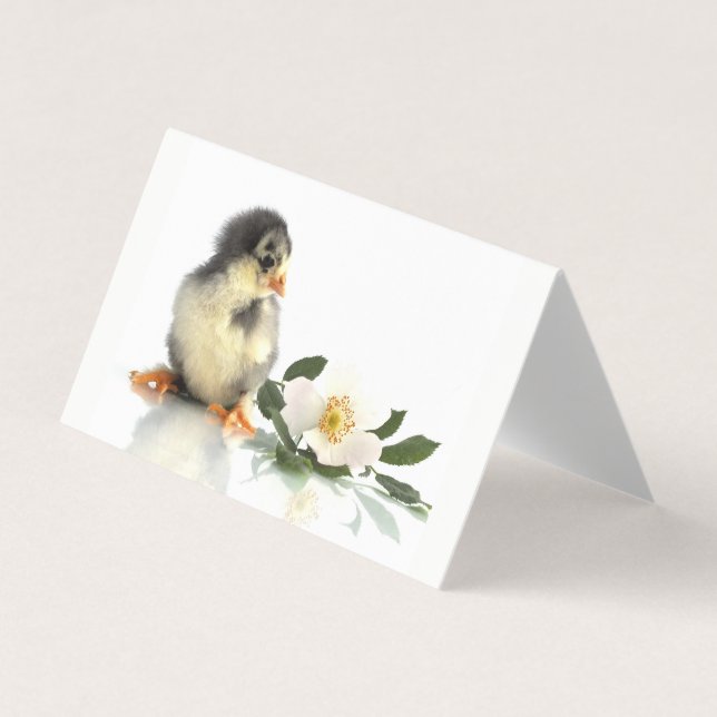 lustiges Huhn ・ geklappte Visitenkarten (Vorderseite)