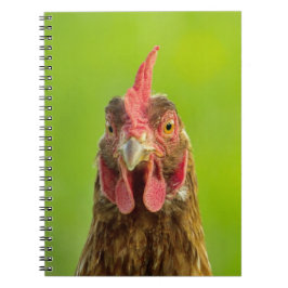 Lustiges Huhn-Porträt - Notizbuch Notizblock