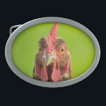 Lustiges Huhn-Vieh Ovale Gürtelschnalle<br><div class="desc">Lustiges Porträt-Foto eines Huhns gegen einen grünen Hintergrund.</div>