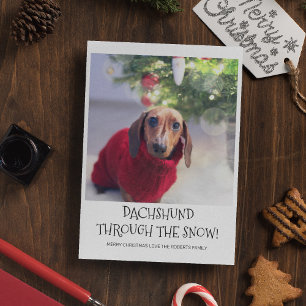 Lustiges Hunde-Dachshund-Foto Weihnachten