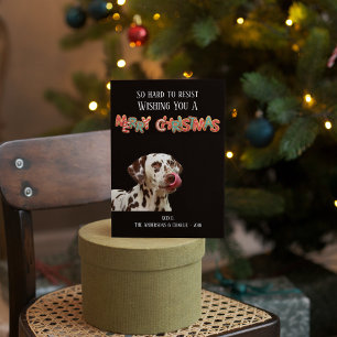 Lustiges Hunde-Foto Weihnachtsplätzchen Feiertagskarte
