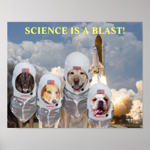 Lustiges Hundeastronauten-Wissenschafts-Plakat Poster