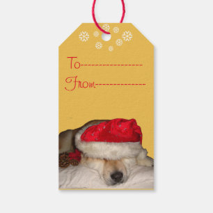 lustiges Hundebild niedlicher akita für Weihnacht Geschenkanhänger