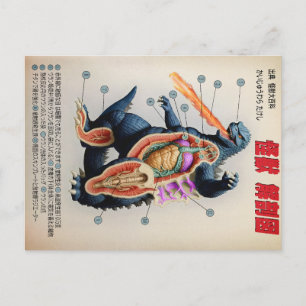 Lustiges japanisches Kaiju-Anatomiediagramm Postkarte