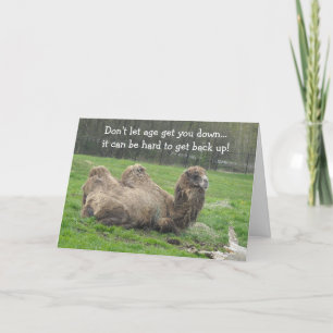 Lustiges Kamel Geburtstag Karte