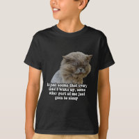 Lustiges Katzen-Meme für Katzenliebhaber und Katze
