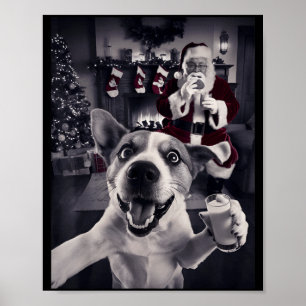 Lustiges Katzen-Selfie mit Santa Weihnachten Poster