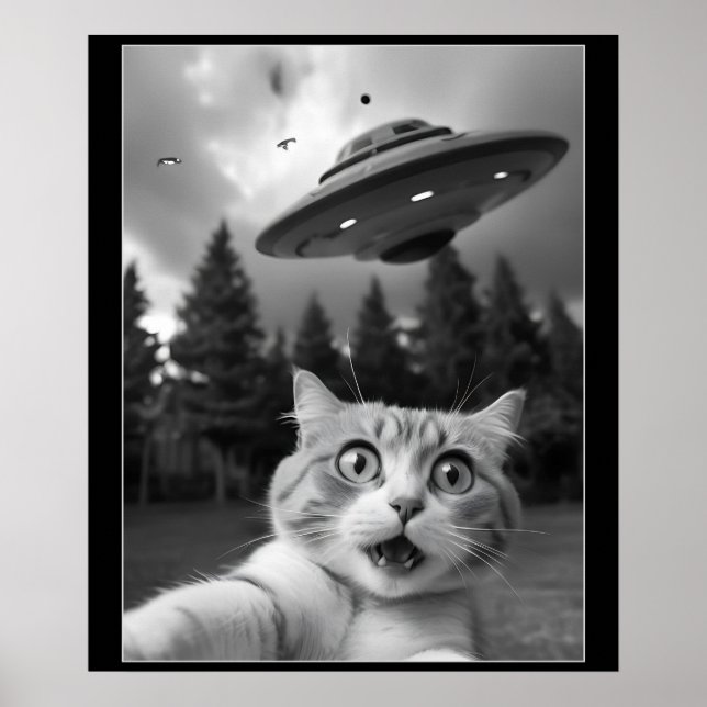 Lustiges Katzen-Selfie mit UFO-Alien-Drohnen Poster (Vorne)
