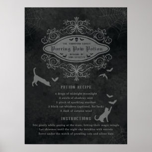 Lustiges Katzen- und Fledermäuse-Potion-Rezept Spi Poster