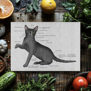 Lustiges Katzenanatomie-Diagramm Humor Nerdy Schneidebrett