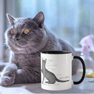 Lustiges Katzenanatomie-Diagramm Humor Nerdy Tasse