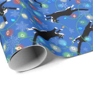 lustiges Katzenspiel Geschenkpapier