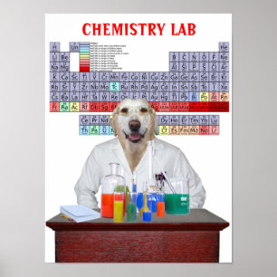 Lustiges Labrador-Chemie-Plakat für Lehrer Poster