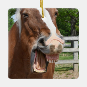Lustiges lachendes Pferd Keramikornament