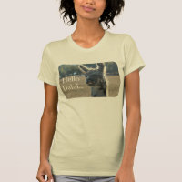 Lustiges Lama-Shirt, hallo Dalai (Dalai LAMA!)