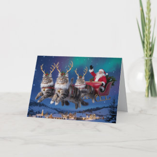 Lustiges Maine Coon-Rentier-Weihnachten Karte