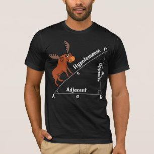 Lustiges Mathe Hypotemoose T-Shirt