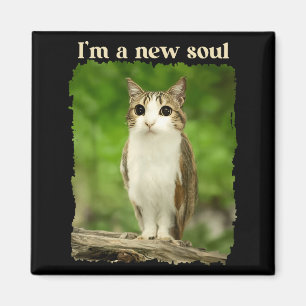 Lustiges Meowl-Meme, Katze Eulen-Meme Brainrot Gen Magnet