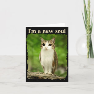 Lustiges Meowl-Meme, Katzen-Eulen-Meme Brainrot Ge Karte