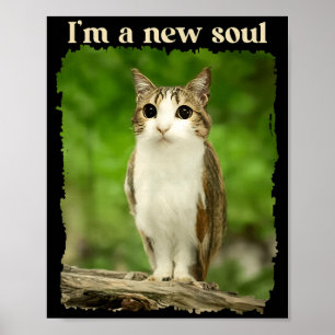 Lustiges Meowl-Meme, Katzen-Eulen-Meme Brainrot Ge Poster