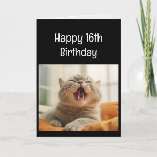 Lustiges miauendes Kätzchen 16. Geburtstag Tier Hu Karte